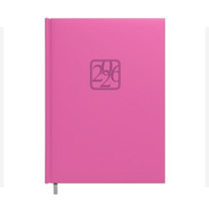 Darbo knyga - kalendorius TIMER 2025 m, A5, minkštas viršelis, alyvinė sp.