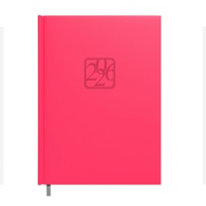 Darbo knyga - kalendorius TIMER 2025 m, A5, minkštas viršelis, koralo sp.