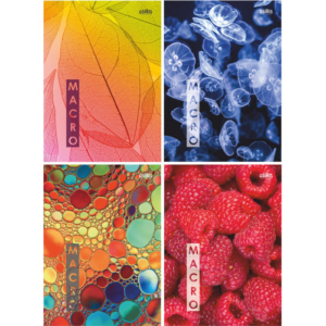 Sąsiuvinis A5 kietu viršeliu 96 l., langeliais