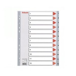 Skiriamieji lapai segtuvams ESSELTE, A4, 1-12, plastikiniai