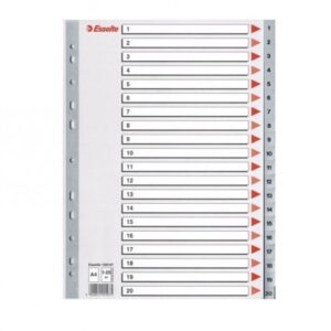 Skiriamieji lapai segtuvams ESSELTE, A4, 1-20, plastikiniai