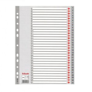 Skiriamieji lapai segtuvams ESSELTE, A4, 1-31, plastikiniai