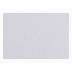 Įrišimo nugarėlės DELTA A4, 250 g, 100 l